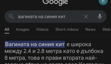 Официално, като търсиш в Гугъл "вагината на синия кит", това е първото, което излиза