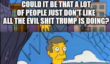 MAGA delusions