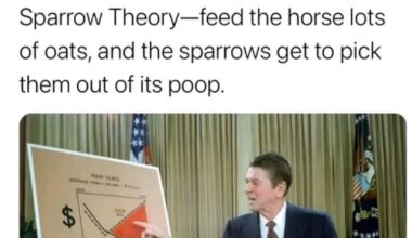 Old School US Economics