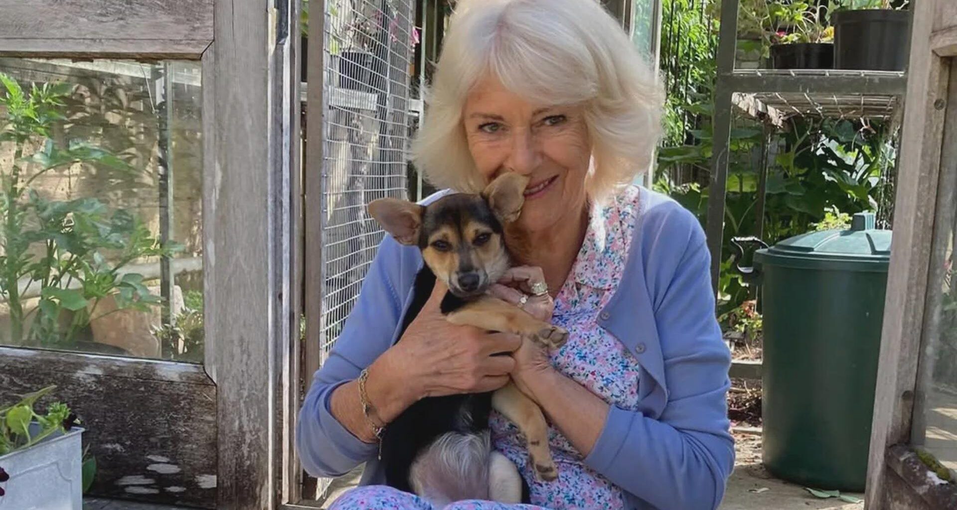 Pictured: The Queen’s new dog