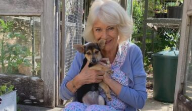 Pictured: The Queen’s new dog
