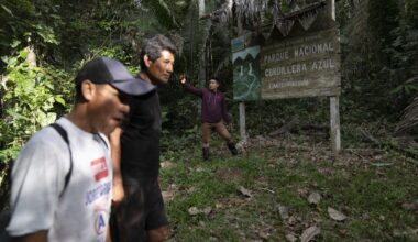 Peru court rules in favor of Kichwa territorial rights in the Amazon