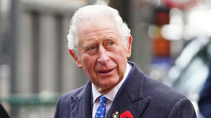 King Charles holds private meeting at Windsor after Andrew’s return