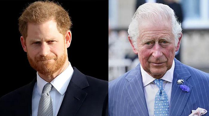 Prince Harry, Meghan Markle accused of making King Charles life 'living hell'