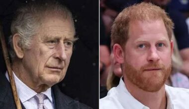 King Charles is done as Prince Harry's ‘punching bag' and joins Prince William
