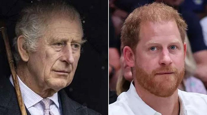 King Charles is done as Prince Harry's ‘punching bag' and joins Prince William
