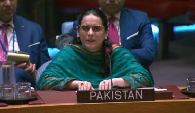 At UNSC, Pakistan urges India to end state terrorism, hold dialogue