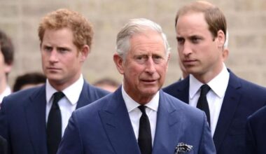 Prince Harry 'complicates' path of healing with King Charles, Prince William
