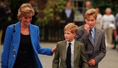 Prince William, Prince Harry still divided over what Diana truly stood for