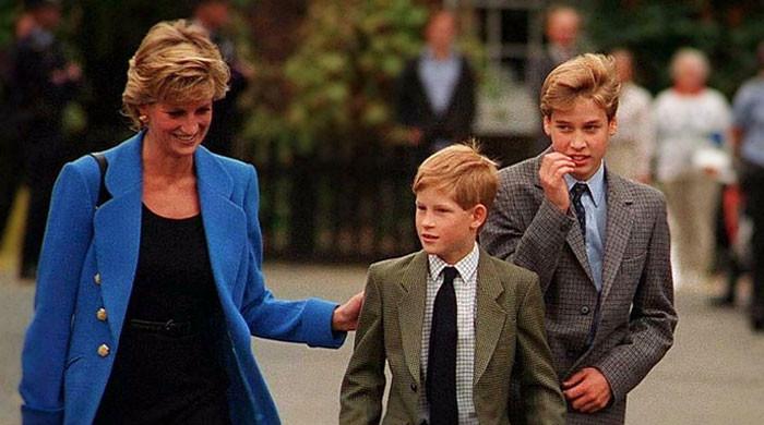 Prince William, Prince Harry still divided over what Diana truly stood for