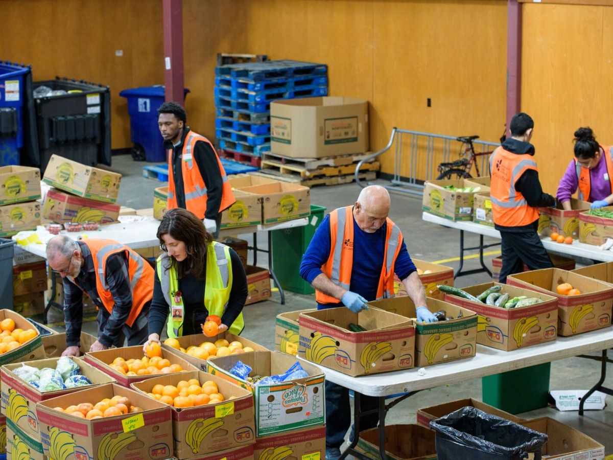 9 Berkeley nonprofits Trump’s federal funding cuts have pinched or punched