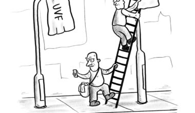 Kneecap [oc]