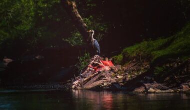 Various photos that I have taken recently, enjoy.