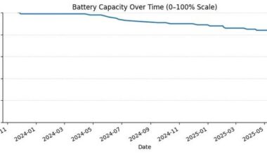 [OC] iPhone 15 Pro Max Battery Health Update: 15→1 018 Cycles, 101 %→81 % (Nov ’23–May ’25)