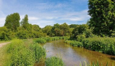Thames Water fined £123m over sewage - but not £1 of it earmarked for clean-up