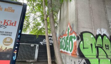 Fugenwachstum in freier Wildbahn entdeckt
