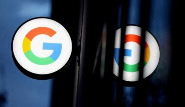 Wir müssen reden. Über ChatGPT, Google Lens und andere Werkzeuge bei der Bestimmungshilfe.