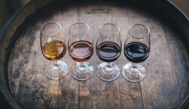 Research project in Spain looking for 3,500 people to drink wine every day for four years