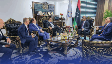 Oil Minister reviews with Maltese ambassador cooperation in energy sector