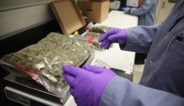 Director Of DOGE-Canceled Program To Monitor Marijuana Potency Hopes His Work Can Continue