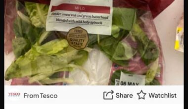 An absolute bargain found on Olio tonight - free butthead salad anyone?