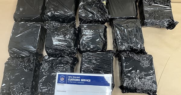 More than $25 million of drugs seized overnight at Auckland Airport