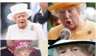 I introduce to you…. Queen trump