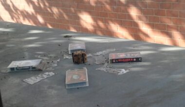 East Street/Hellraiser Bus Stop this morning
