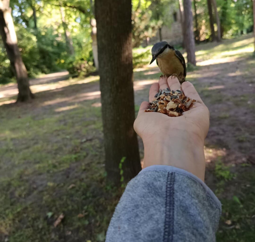 Vögel sind wundervoll. :)