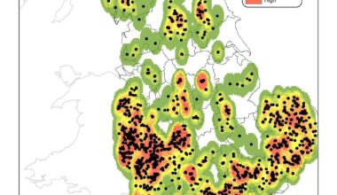 The Ancient Oaks of England: Distribution and density map of 3,300 oaks in England with a girth greater than 6 metres
