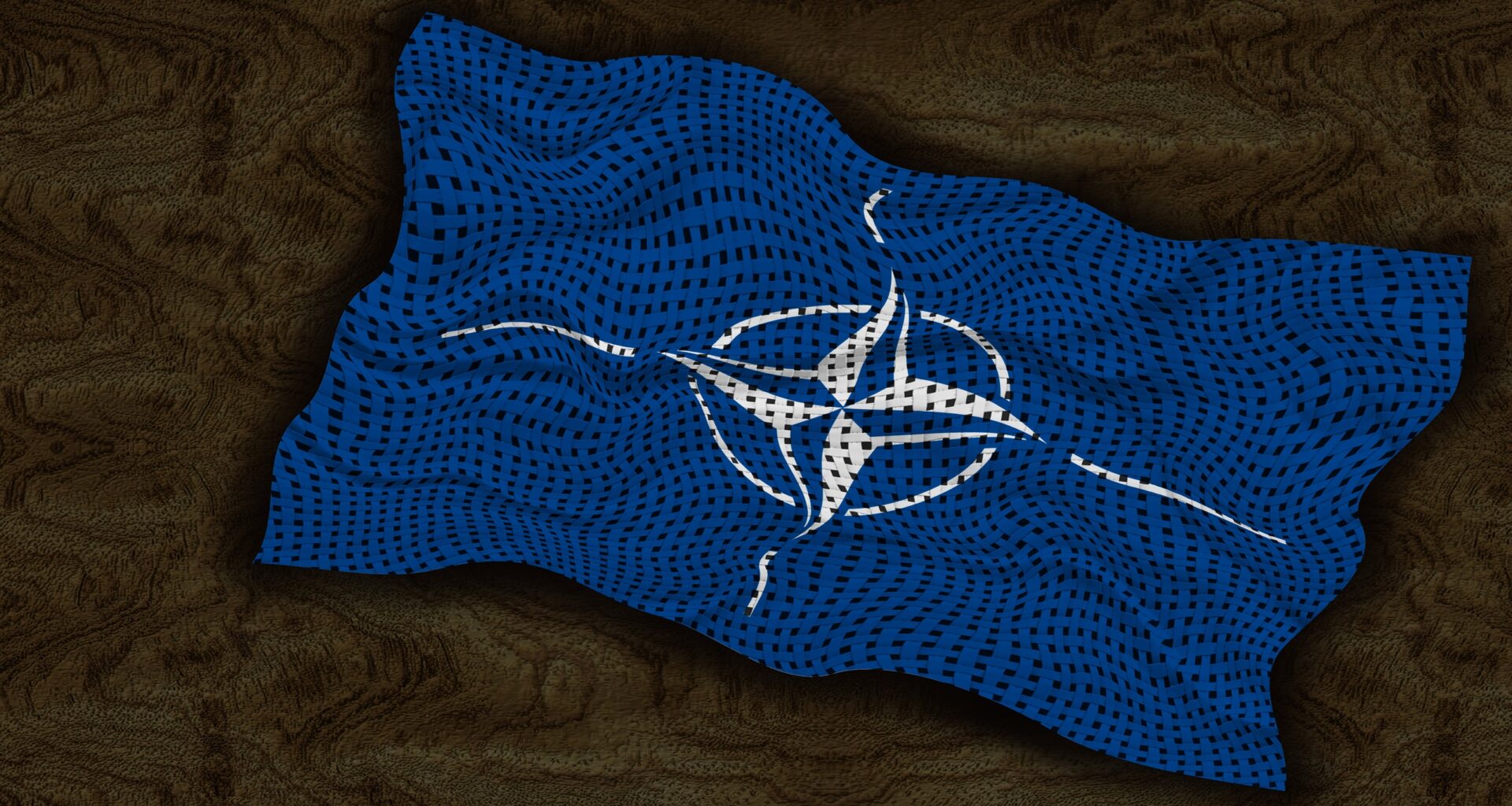 What Is the Future of NATO?