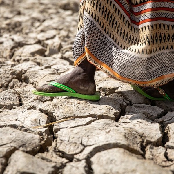 Alliance Sud und Caritas Schweiz: Schweizer Klimafinanzierung hat noch viel Luft