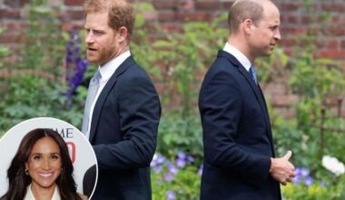 Prince Harry may not attend William's future coronation: sources