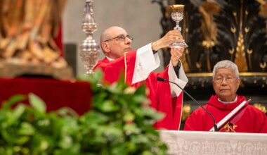 At Novendiales Mass, Cardinal Víctor Manuel Fernández recalls Pope Francis’ love of work