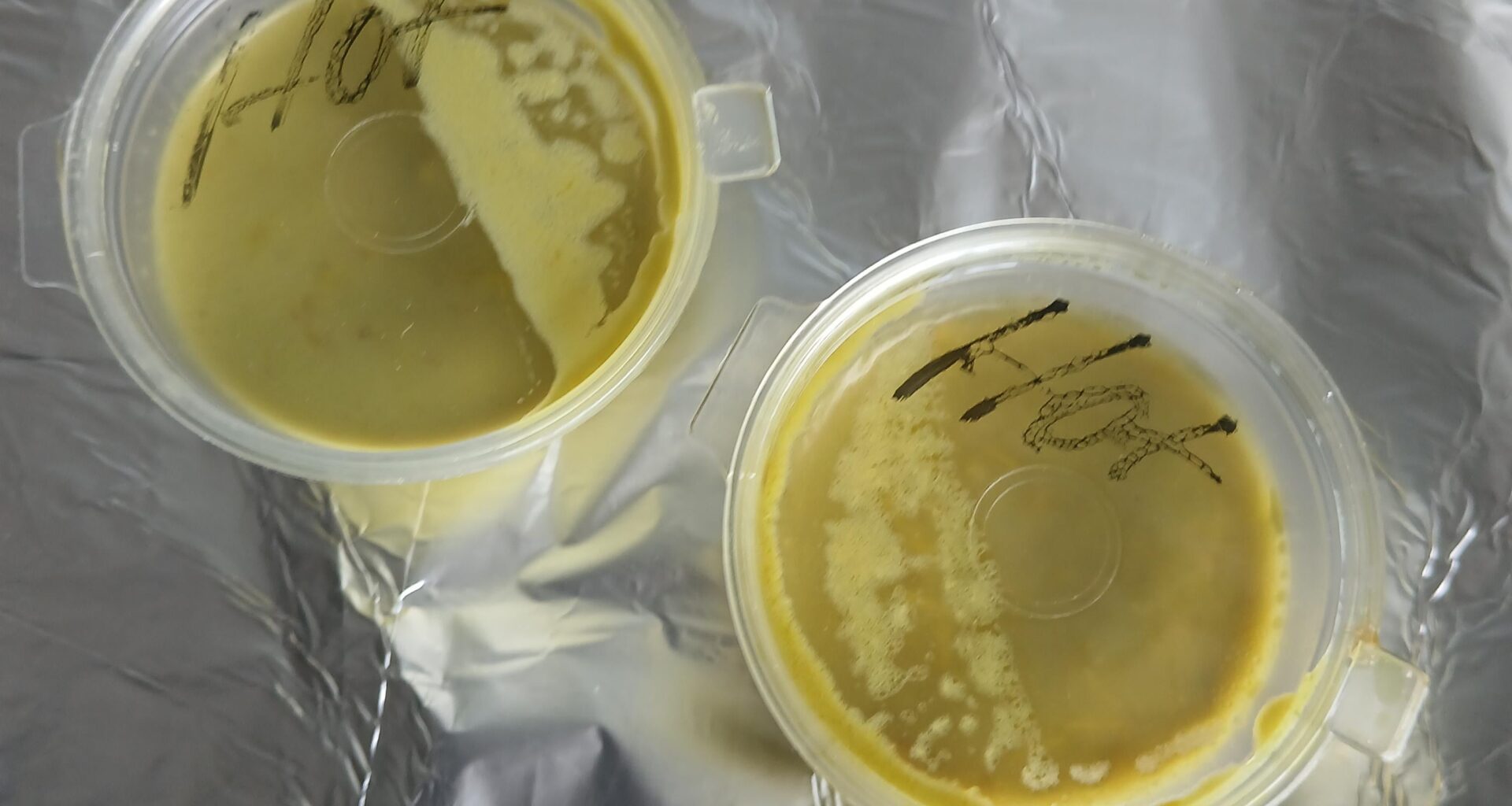 Den vildeste chilisovs