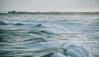 The "Revive Our Ocean" Initiative: Humanity’s Last Chance to Save Our Climate’s Blue Heart