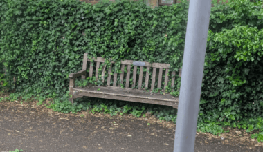 Do you ever feel like a plastic bag, or a public bench being slowly swallowed up by a fence?
