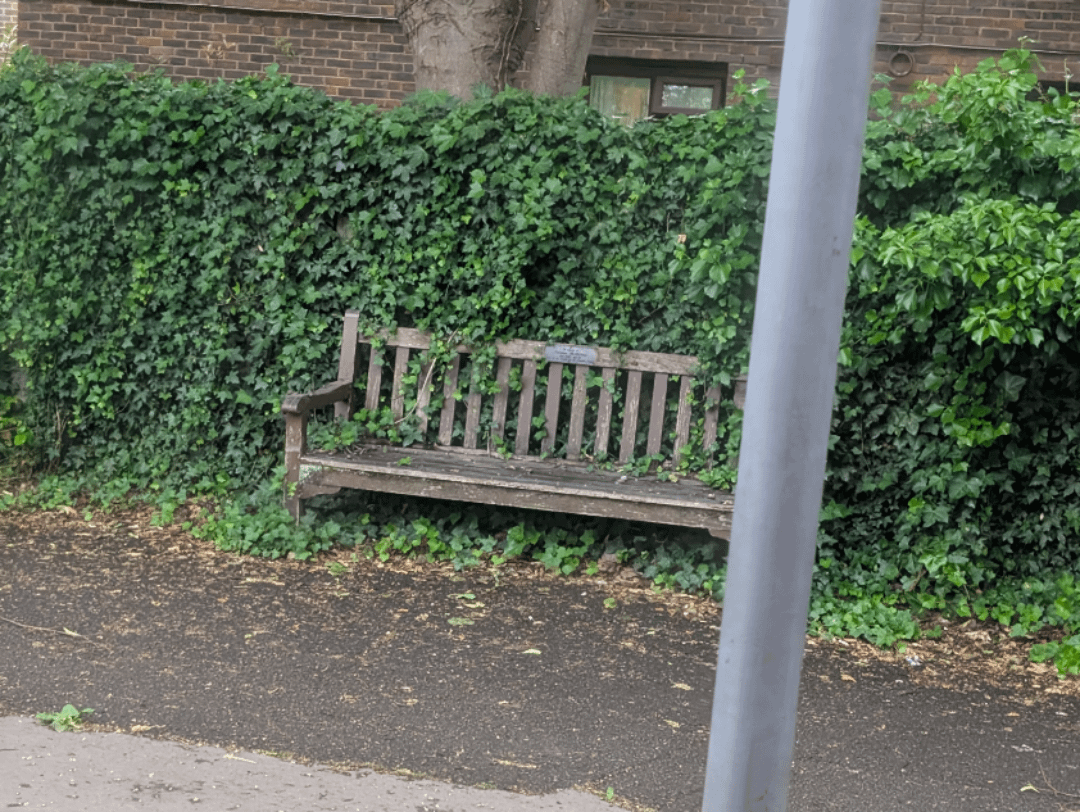 Do you ever feel like a plastic bag, or a public bench being slowly swallowed up by a fence?