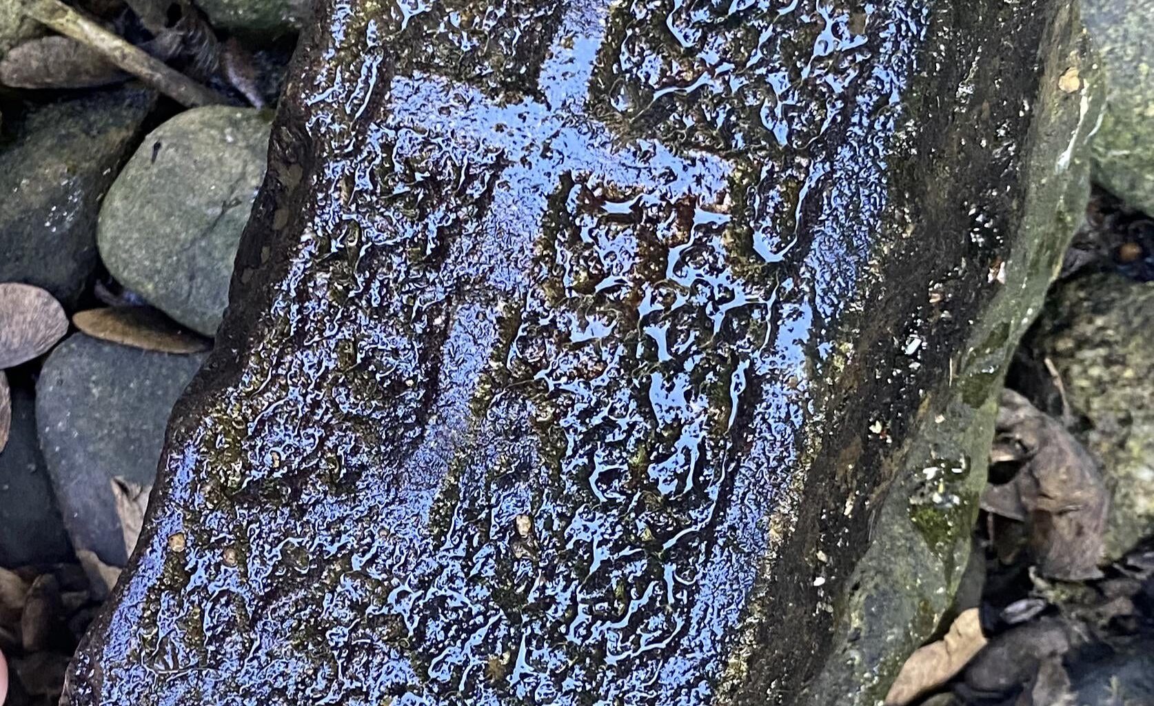 Found in a river in the Peak District. Any idea what it is or where it might have originated?