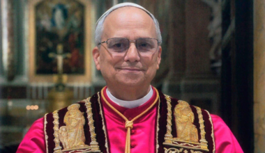 Pope Leo XIV embraces elements of Francis’ vision; some views still unclear