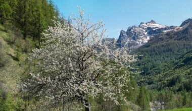 Isère. Ce parc des Alpes est l'un des plus beaux d'Europe, selon un guide touristique réputé