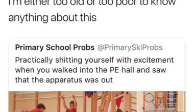 This was actually Peak British primary school.