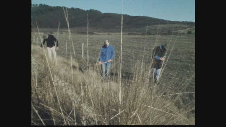 People search during the 1975 manhunt for Mona Blades.