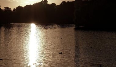 Sunset across the Boating Lake at Highfields Park. tap to view in full.