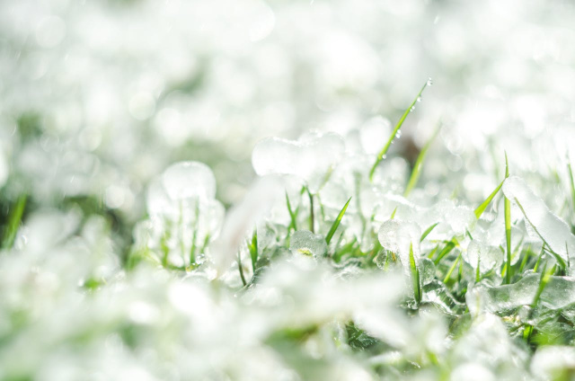 Bulgaria: Stormy Skies Ahead: Hail and Showers Expected Across Bulgaria on Tuesday