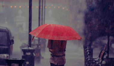 Bulgaria: Weather Forecast for Bulgaria: Showers and Thunderstorms Expected on May 19