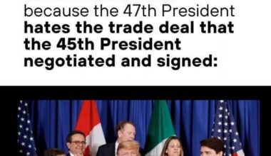 Just a reminder of the level of moron we're dealing with