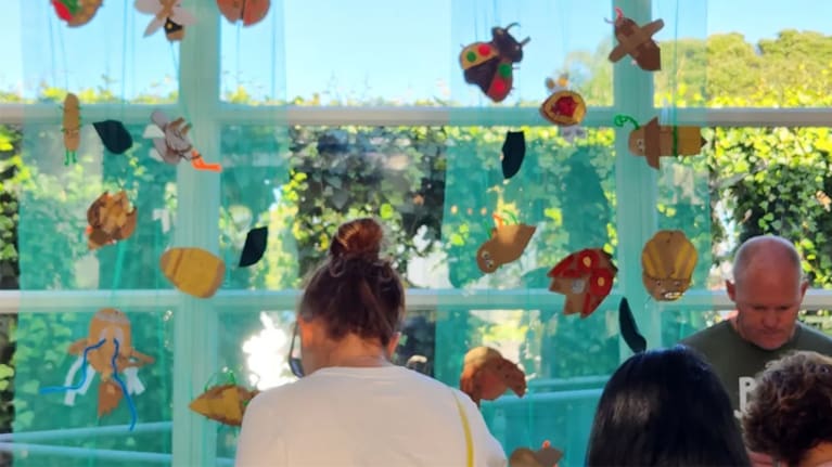 Pictures and artwork of bugs made by children from local schools on display at the memorial for murdered US student Kyle Whorrall.
