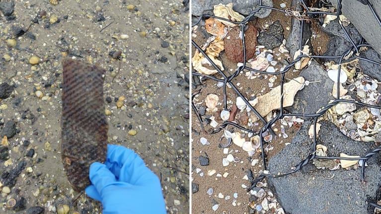 Pieces of abestos-containing fibre cement board found at Glendowie Bay. 