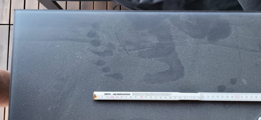 Was tummelt sich auf unserer Dachterrasse